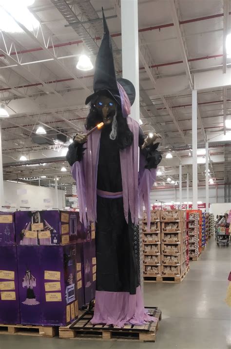Halloween outfit for witches from costco